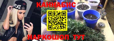 Альфа ПВП Будённовск