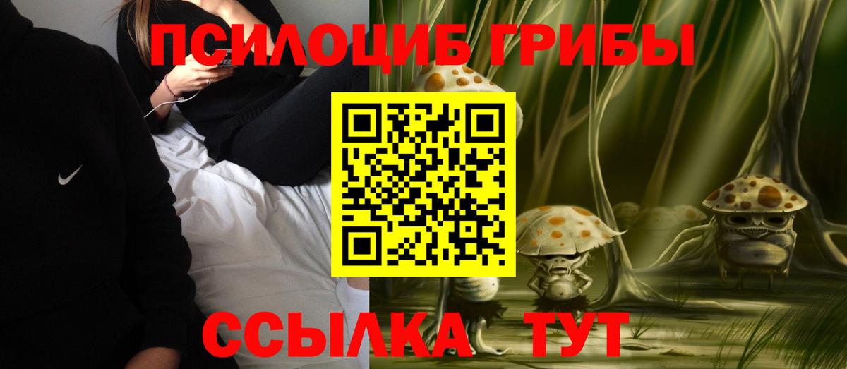 Галлюциногенные грибы Psilocybe  Вход с VPN  Салават 